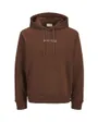 Sweat à Capuche Homme JJSKI Logo