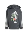 Sweat à capuche Enfant LK DY MM SWT Gris