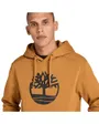 Sweat à Capuche Homme Kennebec River Tree Logo