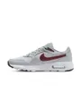 Chaussures Homme NIKE AIR MAX SC Gris