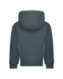 Sweatshirt à capuche Jeune enfant B NSW EXPRESS YOURSELF HOODY Vert