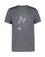 T-shirt Homme BEARDEN Gris