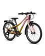 Vélo Enfant CHICA 20 EQ Rose/Or