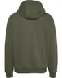 Sweat à capuche Homme TJM REG S FLAG HOODI Vert