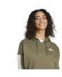 Sweat zip à capuche Femme W 3S FL FZ HD Vert