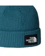 Bonnet SALTY LINED BEANIE Bleu