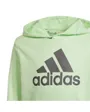 Sweat à capuche Enfant U BL HOODIE Vert