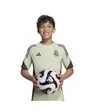 Maillot de football Enfant REAL TR JSY Y Beige