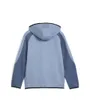 Sweat zip à capuche Enfant EVOSTRIPE FULL-ZIP H Bleu