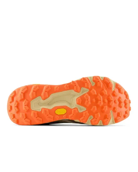 Chaussures de trail Homme FRESH FOAM X HIER Beige