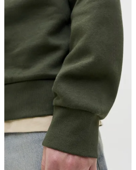 Sweat à capuche Homme JJELOGO SWEAT HOOD 2 COL 25/26 NOOS Vert