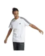 T-shirt manches courtes Homme M 3S SJ T Blanc