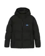 Veste Matelassée Homme BODO2541