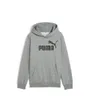 Sweat à capuche Enfant ESS NO. 1 LOGO HOODIE FL B Gris