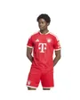 Maillot de football Homme FCB H JSY Rouge