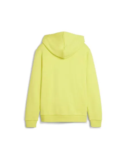 Sweat à capuche Enfant B PP GRAF HDY TR Vert