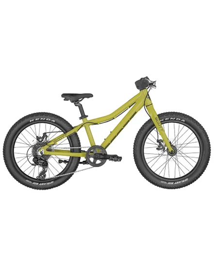 VTT Enfant ROXTER 20 Vert