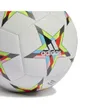 Ballon de Football Unisexe UCL TRN Blanc