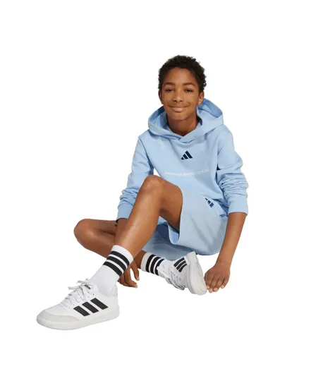 Sweat à Capuche Homme B FL HD