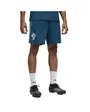 Short Training Homme FPF Training Shorts W Pockets