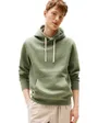 Sweat à capuche Homme ESS SEASONAL FLEECE HOODY Vert Sauge