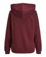 Sweat à capuche Femme JXABBIE RLX LS EVERY HOOD SWT NOOS Bordeaux