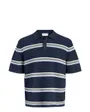 Polo Homme Jormaine Knit Stripe