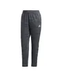 Pantalon de sport femme W E TPE PT Gris