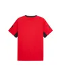 Maillot de foot Homme PUMA IndividualLIGA Graphic
