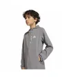Veste zip à capuche Enfant B WV TT Gris