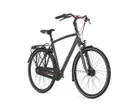 Vélo urbain Homme VENTO C7 Gris Titane