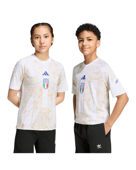 Maillot Pré-Match Homme FIGC Preshi H Y