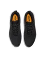 Chaussures Homme FIELD TREKKER LOW LACE UP SNEAKER Noir