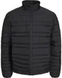 Doudoune Homme JJSanto Puffer Jacket