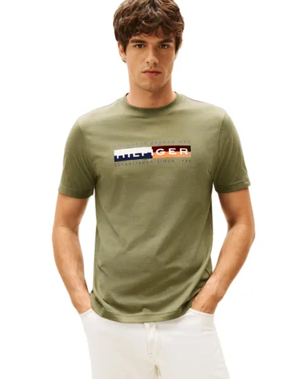 T-shirt col rond Homme TH COLOUR BLOCK GRAPHIC TEE Vert