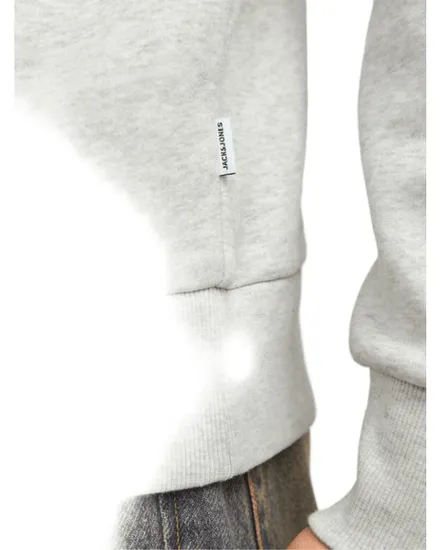 Sweat À Capuche Homme JJELOGO Sweat Hood 2 Col