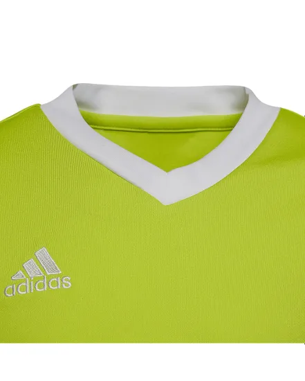 Maillot Football Enfant Entrada 22 Adidas