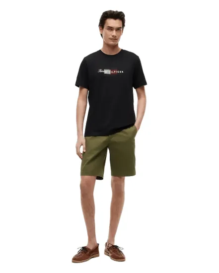 T-Shirt Homme Script Flag Regular