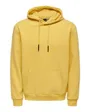 ONSCERES HOODIE SWEAT NOOS
