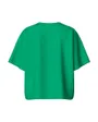 Sweatshirt manches courtes Femme PCCHILLI SUMMER 2/4 LOOSE SWEAT NOOS BC Vert