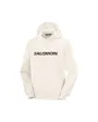 Sweat À Capuche Homme Salomon Logo