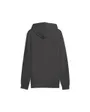 Sweat à capuche Homme ESS ELEVATED HOODIE Gris