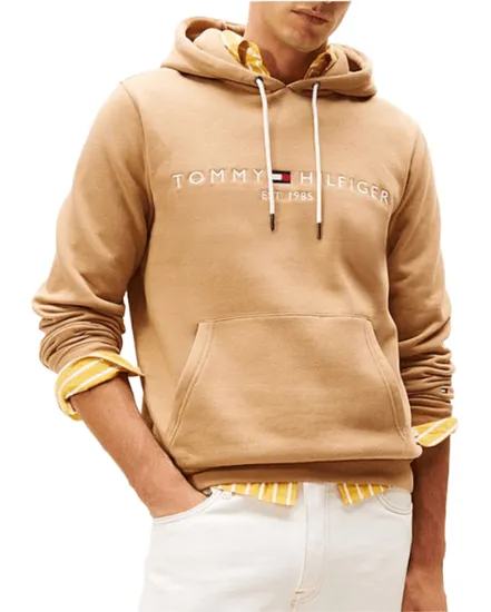 Sweat à Capuche Homme Tommy Logo Hoody