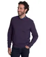 Pull col rond Homme TRANQUILLE Violet