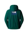 Sweat à capuche Homme M RAGLAN BOX NSE HOODIE Vert