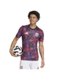Maillot de football Homme OL PRESHI Multicolore