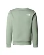 Sweat Enfant TEEN SIMPLE DOME CREW Vert