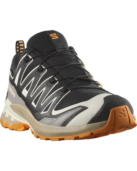 Chaussures de trail Homme SHOES XA PRO 3D V9 GTX Noir