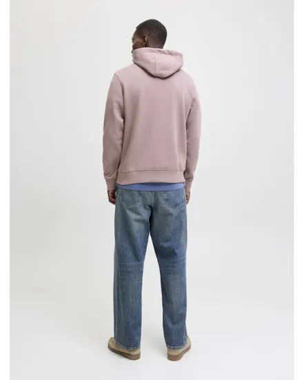 Sweat à capuche Homme JPRBLULOYAL SWEAT HOOD PRAU25 Violet