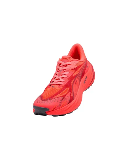 Chaussures de Trail Running Homme Velocity Nitro Trail